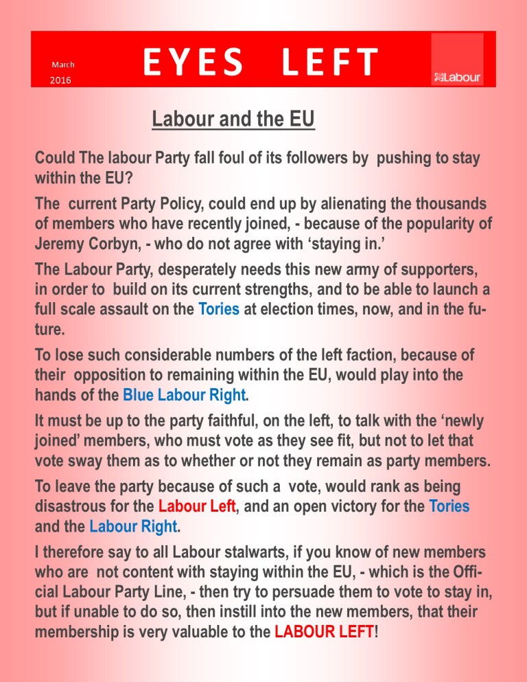 Publication1 The left and the EU Blog