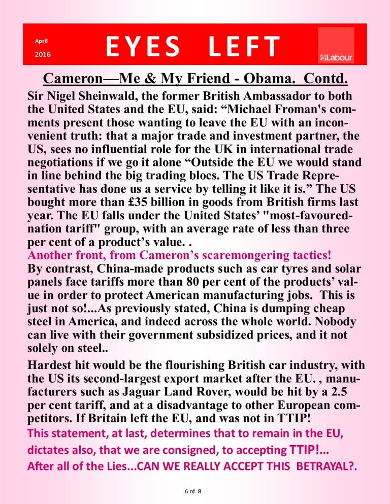 Publication 1   Cameron  My friend Obama 6 of 8