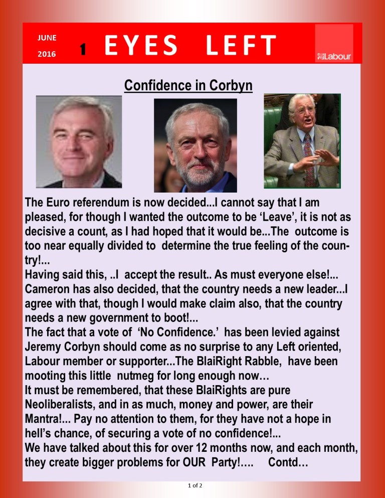 Publication 1   No Confidence 1o 2