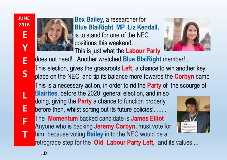 Publication1  NEC Elections