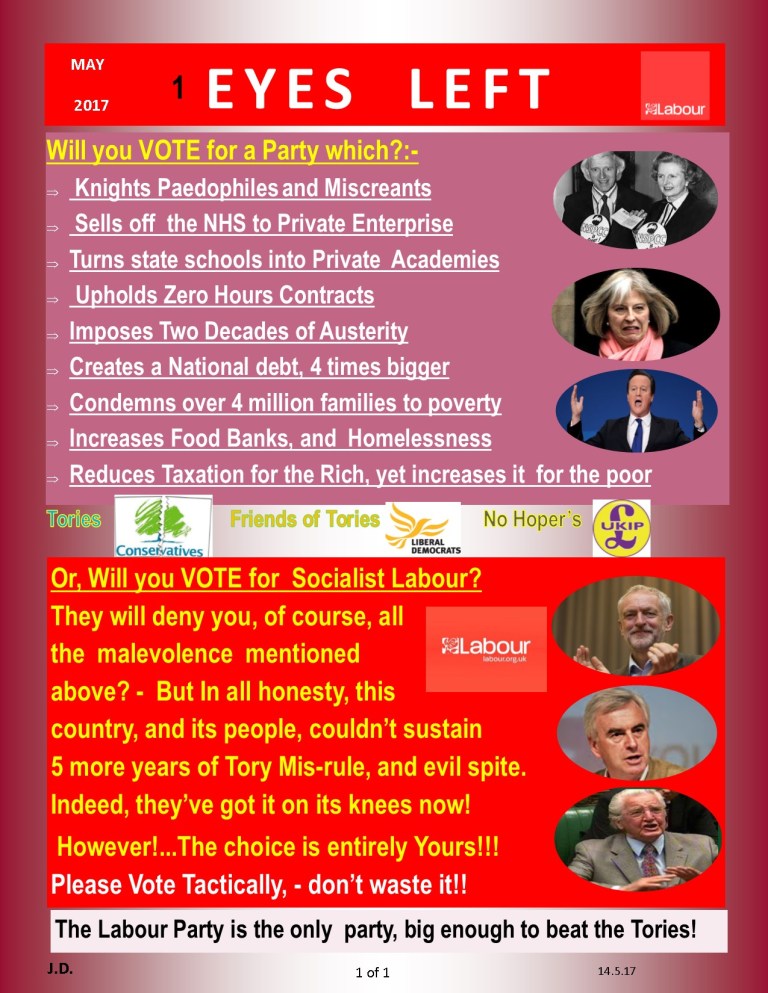 Publication1 will you vote Tory or Labour 2017