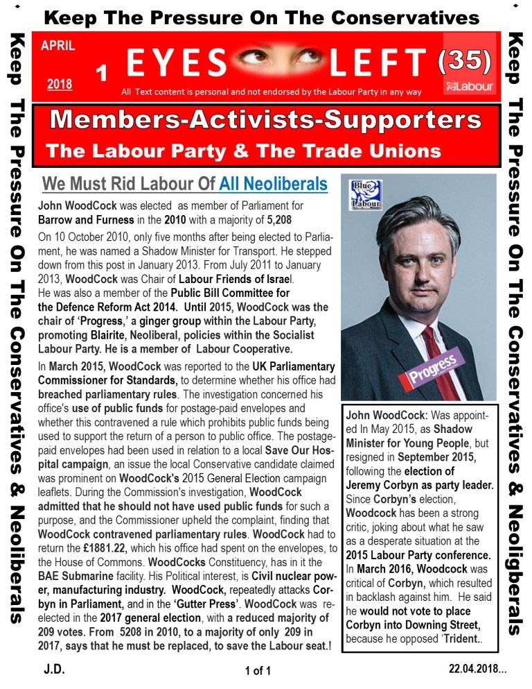 Publication 1 Eyes Left Woodcock and BAE